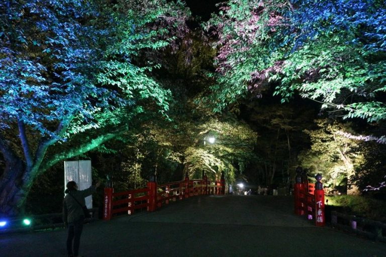 青森県 弘前公園周辺を巡るデートコースはコレ 幻想的なライトアップを楽しむ大人デート Galichu